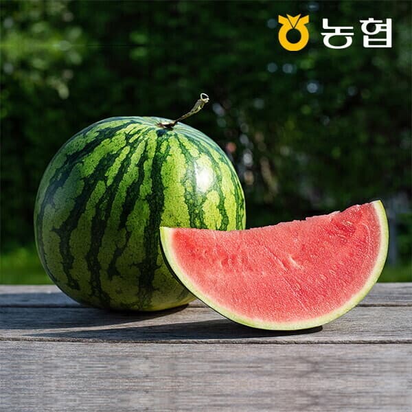 롯데 아이몰 농협선별 부여 씨없는 수박 1통 8kg