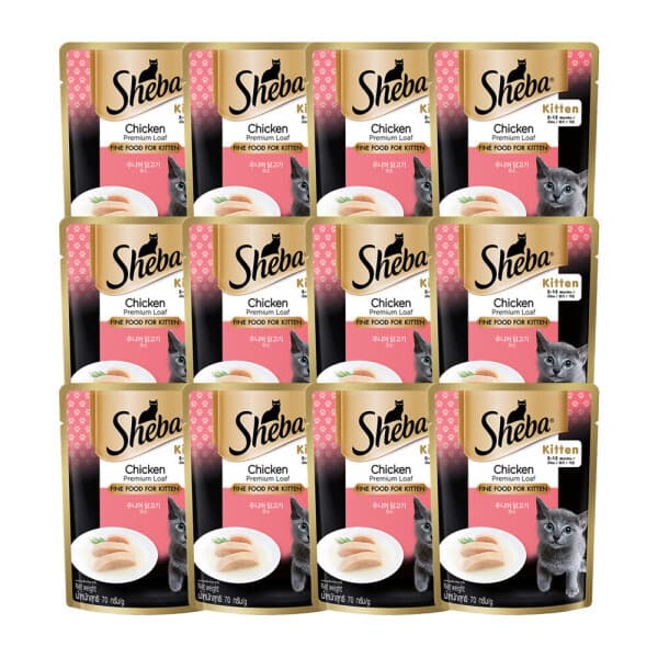 마즈코리아-스타배송 쉬바 주니어 닭고기 무스 70g x12개