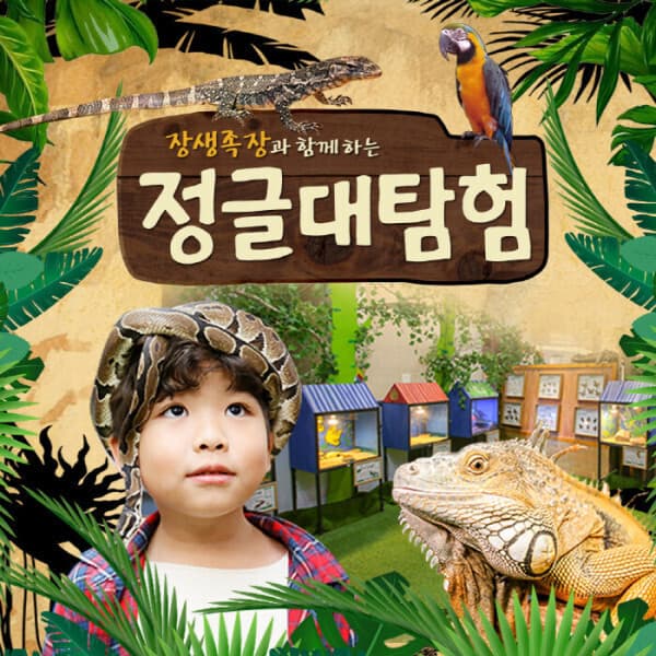 스마틱스 강원 삼척 정글대탐험 하이원 추추파크점
