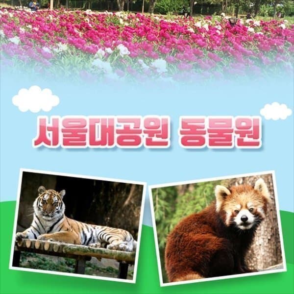 스마틱스 과천 서울대공원 동물원 입장권