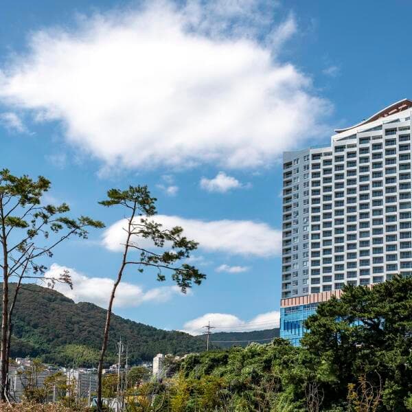 (주)놀유니버스 거제 호텔 더포라스위츠