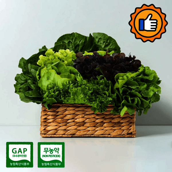 전국대표팔도장터 샐러드 채소 상추 쌈채소 1kg 무농약 GAP