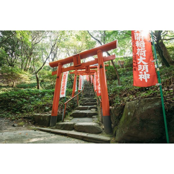 (주)노랑풍선 부산출발 큐슈 4일 부관훼리 선내2박 후쿠오카 시내호텔 - 최저가 284,050원