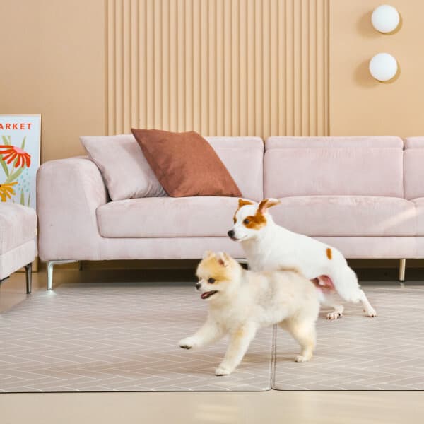 LOHOUSE 로하우스 엣지 PVC 러그타입 110x240 6mm 강아지 미끄럼방지 매트 - 최저가 83,900원