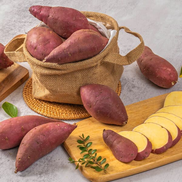 (푸드빌리지) 푸드빌리지 달콤하고 부드러운 햇 꿀고구마 5kg - 최저가 8,900원