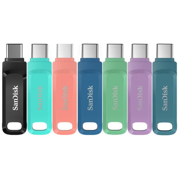 PID 샌디스크 USB 메모리 256GB C타입 OTG SDDDC3
