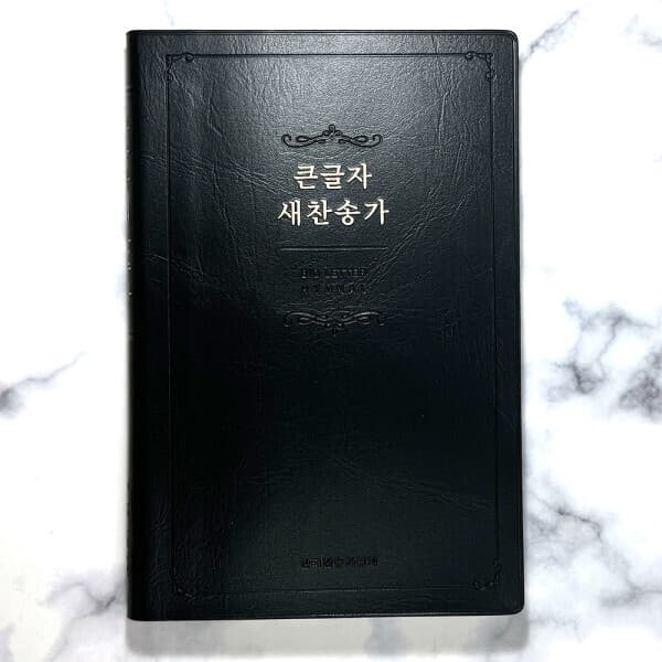고집쟁이녀석들 생명의말씀사 큰글자 새찬송가 대 무지퍼 무색인 케이스