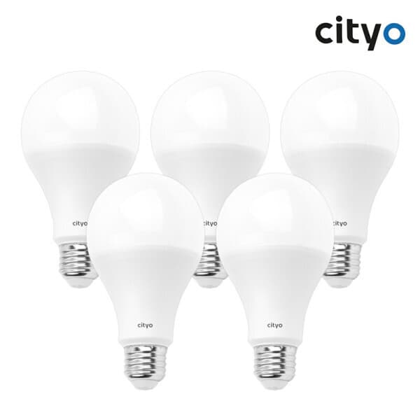 강남대흥 씨티오 LED 전구 20W 주광색 전구색 5개입