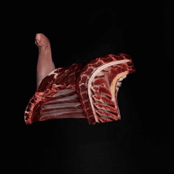 그린고트 무항생제 냄새없는 염소고기 앞다리지육 3kg - 최저가 61,380원