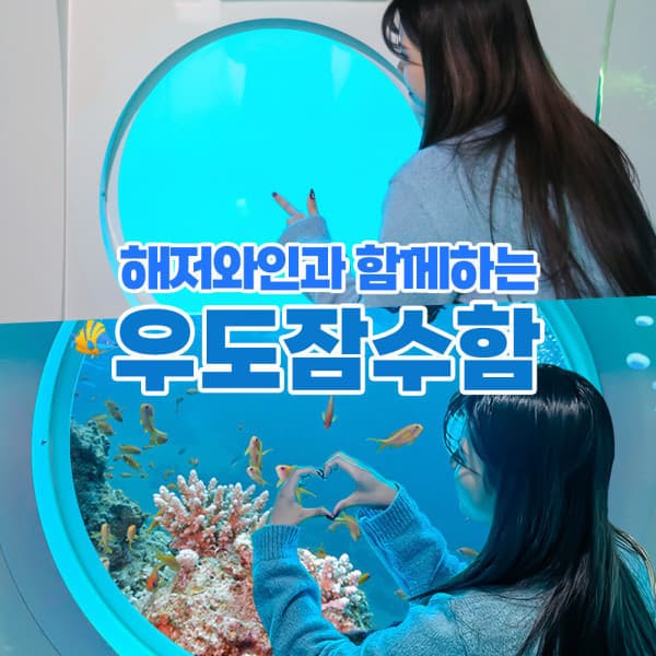 V-PASS 제주 우도 잠수함 투어