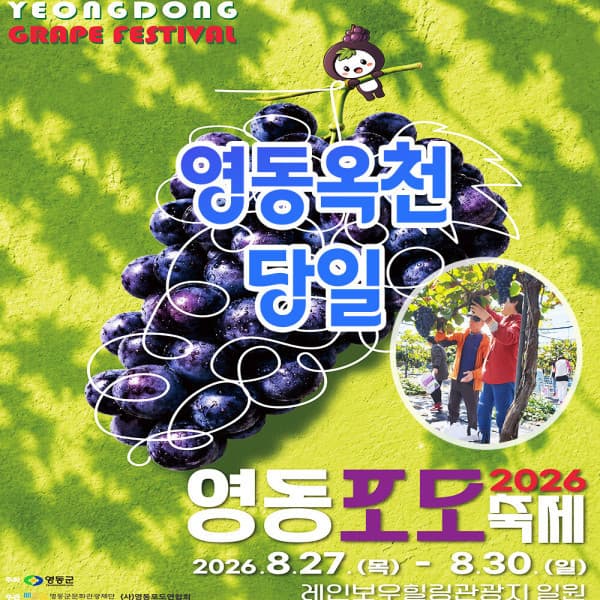 로망스투어 약2kg 포도 영동포도축제 체험 - 최저가 34,900원
