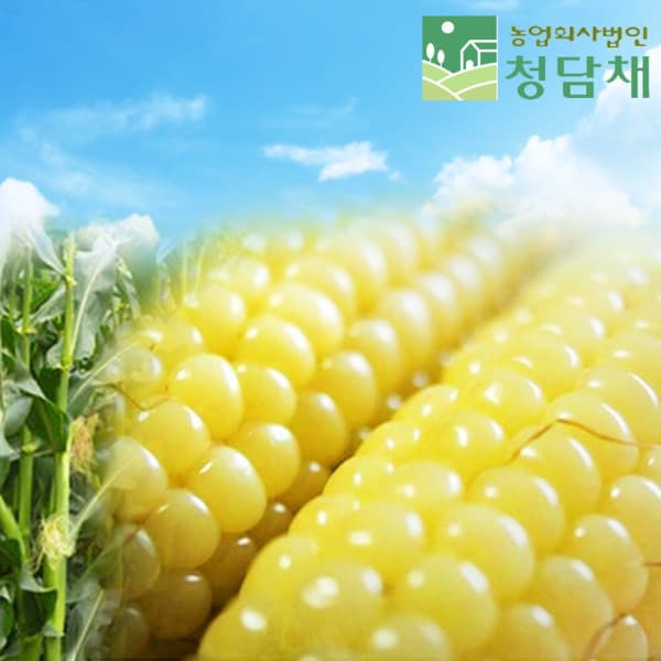 팔도식품 그린농장 괴산대학찰옥수수 30개 특품 17cm내외 - 최저가 23,900원