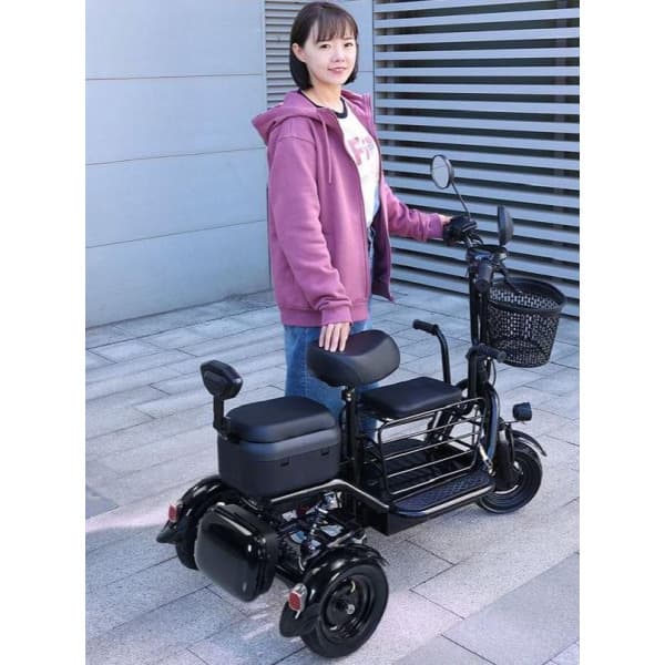 RODIT2510 세발 전기자전거 삼륜 전동 2인용 3인용 접이식 - 최저가 528,000원
