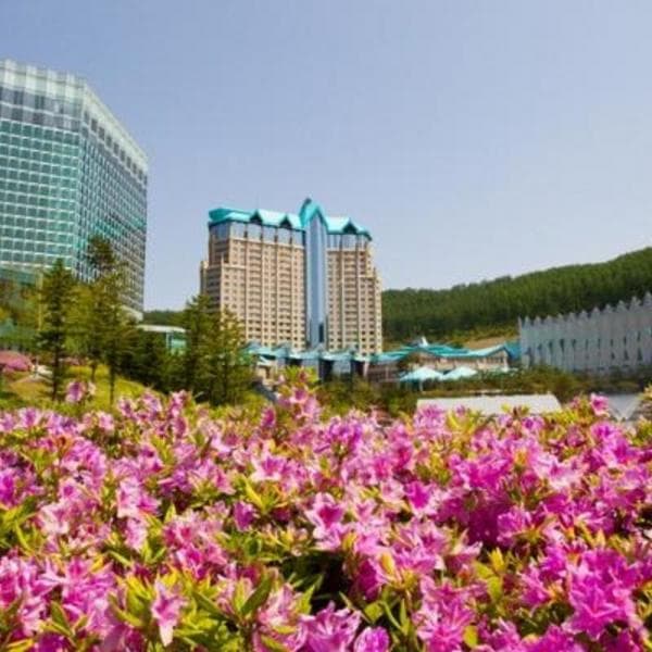(주)놀유니버스 하이원 그랜드 호텔 컨벤션타워 영월정선 - 최저가 193,430원