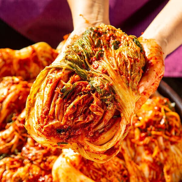 맛꾼푸드 국내산 전라도 포기김치 배추김치 10kg