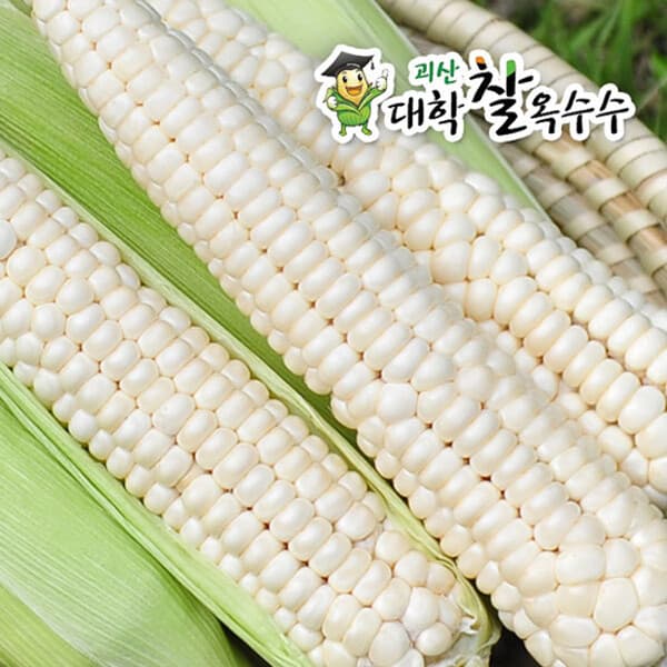 현대Hmall 괴산 대학 찰옥수수 30개 - 최저가 19,900원