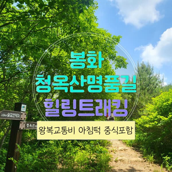(주)여행자클럽 경북 리무진버스 봉화 청옥산 명품숲길 힐링트래킹 당일 중식포함