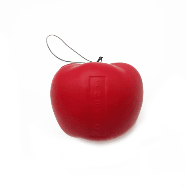 미래과학 뉴턴의사과(Newton s Apple)