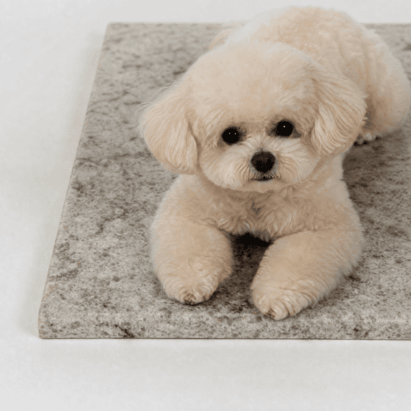 싸다구펫몰 강아지 고양이 대리석 쿨매트 - 최저가 32,900원