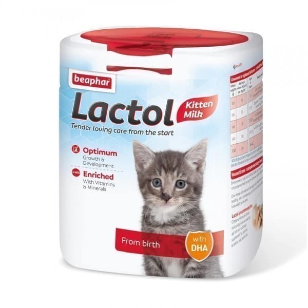 슈퍼스타펫 비아파 락톨키티 고양이 분유 500g