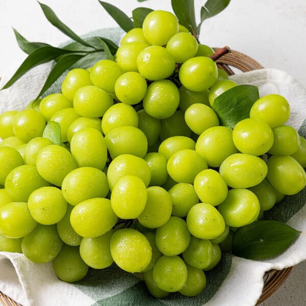 더싱싱 국내산 샤인머스켓 실중량 4kg 6-8수
