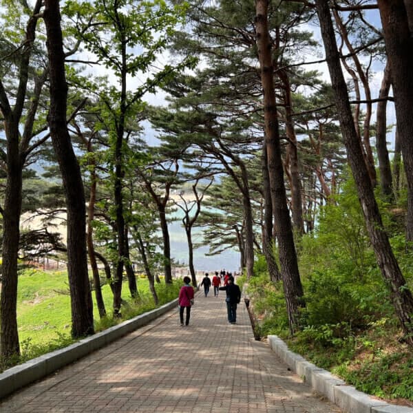 (주)테마캠프 고성 해파랑길 당일여행 (설악산 화암사 숲길 능파대 아야진해변 화진포의 성)