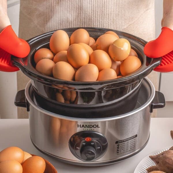 노자상회 한돌리빙 구운계란 멀티쿠커 3.5L HDLV-A1