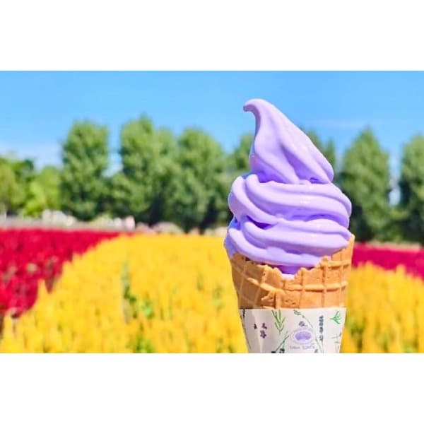 투어비스투어티켓 마이재팬 비에이 후라노 버스투어 호텔 런치