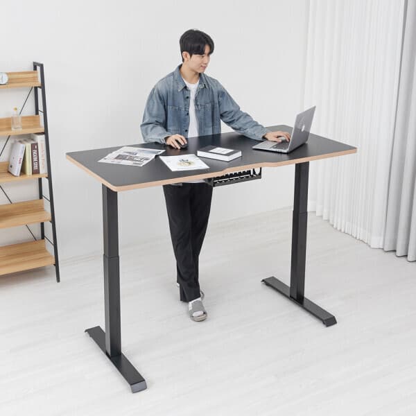 카멜마운트 핏쳐 E2 상판 1600mm 전동식 듀얼모터 모션 데스크