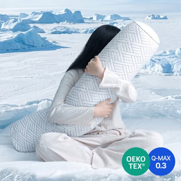 snoozz 냉감 바디필로우 듀라론 Qmax 0.42 오코텍스 인증 쇼파 침대 패드 - 최저가 14,000원