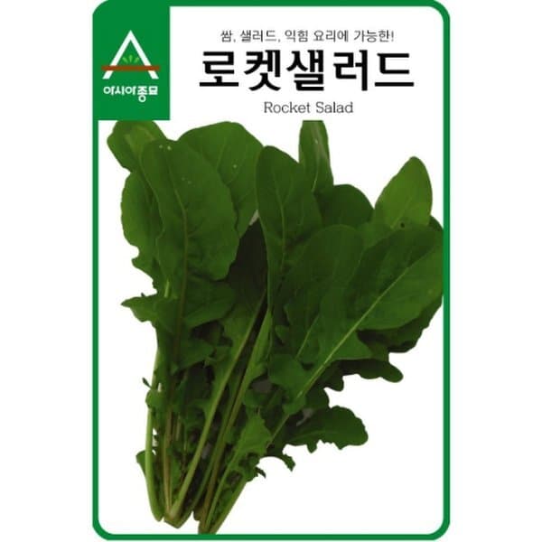신세계몰 씨앗 루콜라 로켓샐러드 1kg