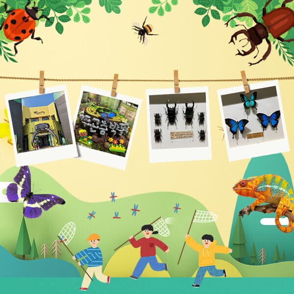 온오프믹스 여주곤충박물관 1인입장권+체험 만들기 이용권