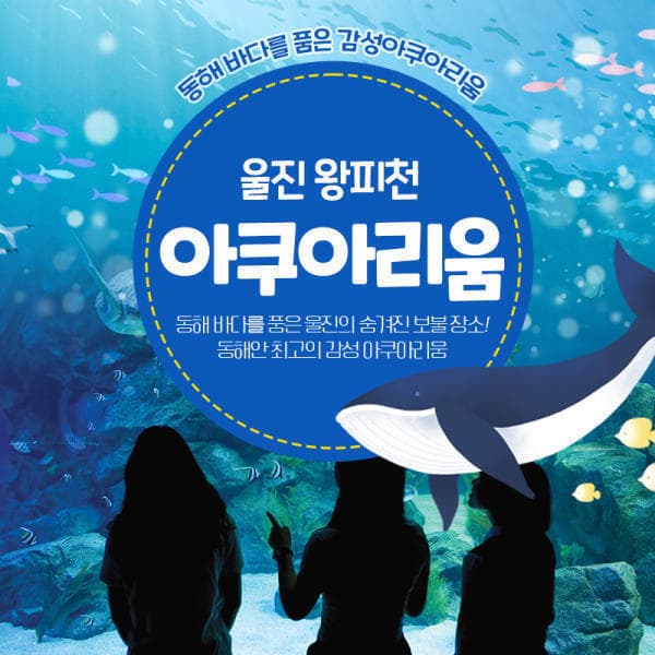 놀유니버스 울진 왕피천 아쿠아리움 - 최저가 4,000원