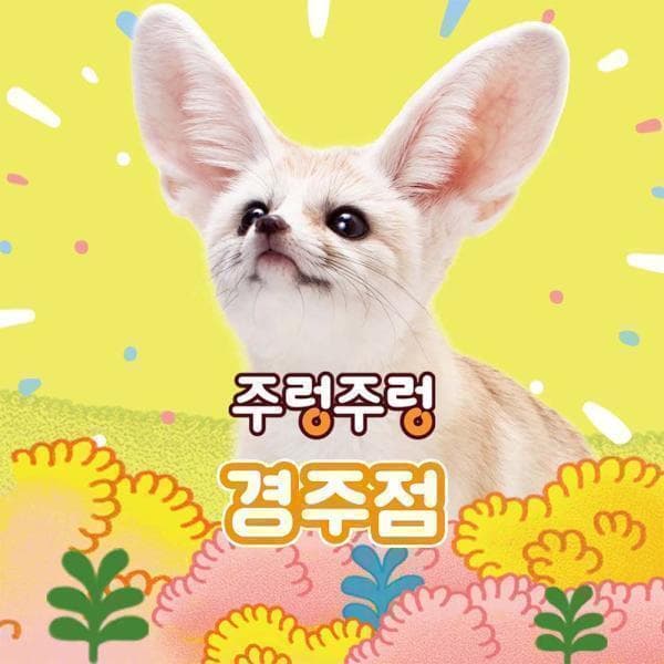 놀유니버스 주렁주렁 실내 동물원 경주점 - 최저가 15,000원