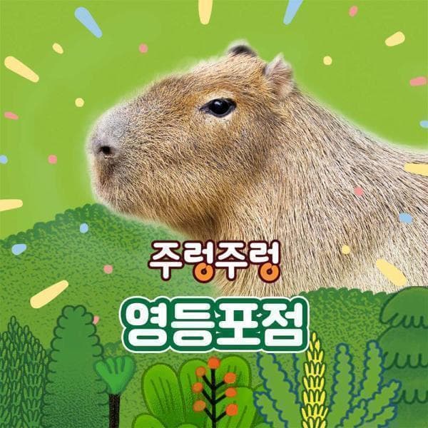 놀유니버스 주렁주렁 실내 동물원 영등포점 - 최저가 23,500원