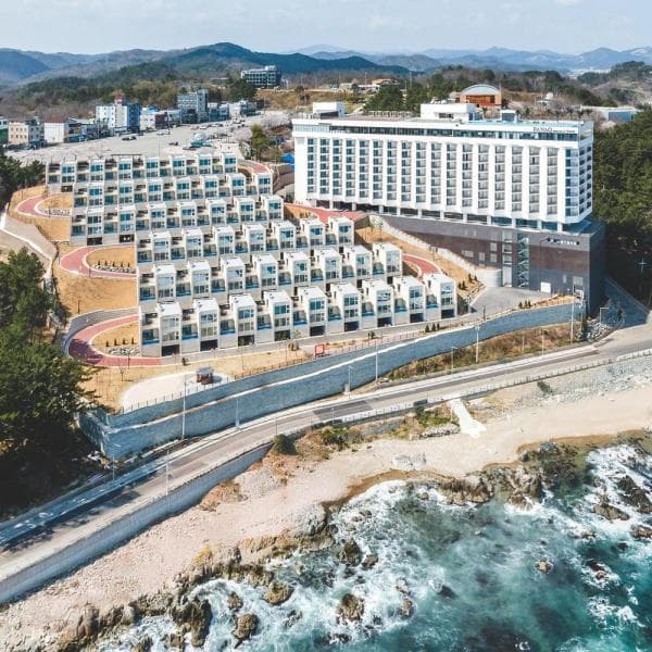 (주)놀유니버스 파나크 오퍼레이티드 바이 소노 울진영덕청송