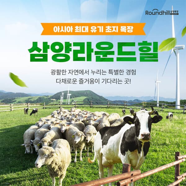 놀유니버스 대관령 삼양라운드힐
