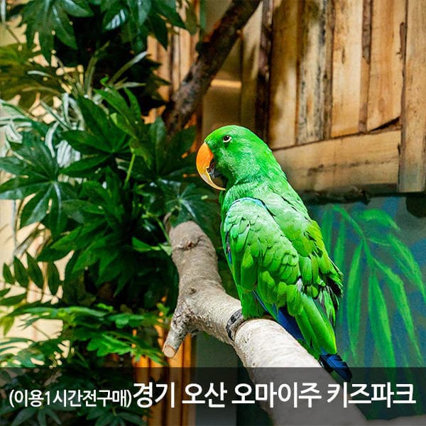 놀유니버스 경기 오산 오마이주 키즈파크