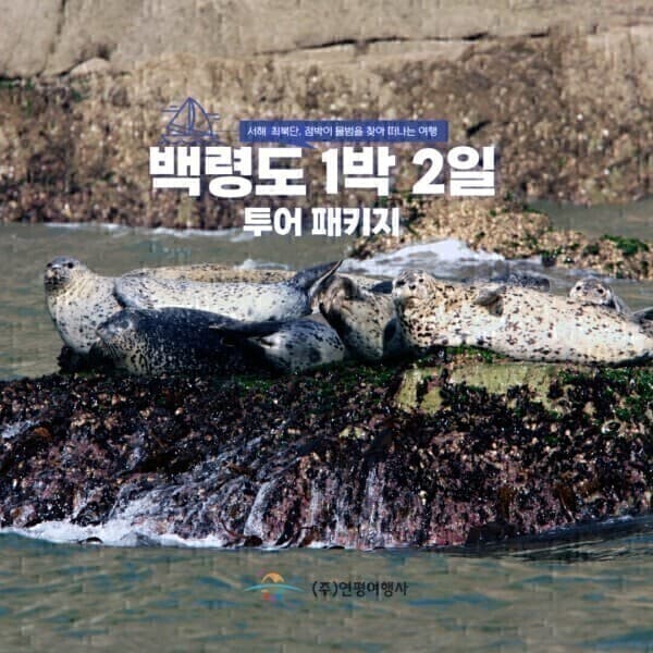 연평여행사 인천상회 백령도 1박 2일 여행패키지 - 최저가 145,000원