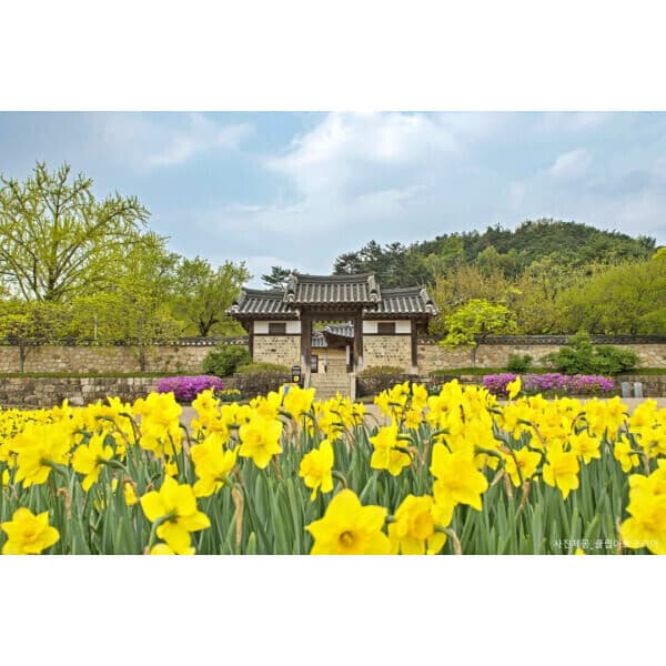 트립앤미 오감만족 예산여행 아그로랜드 수덕사 예당호출렁다리 예산시장 추사김정희고택 - 최저가 49,900원