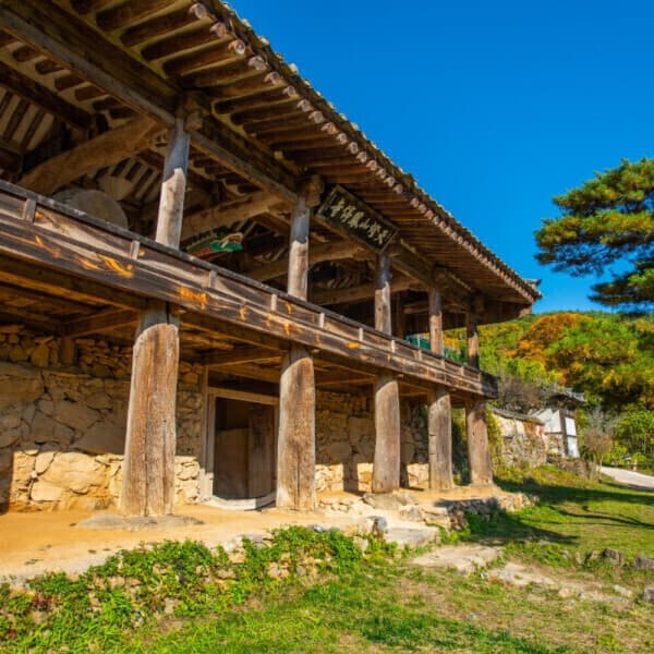(주)테마캠프 안동 로얄웨이 당일여행 (봉정사 하회마을 병산서원)