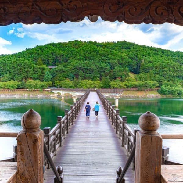 (주)테마캠프 안동전통시장 왔니껴투어 러브투어 당일여행 예끼마을 월영교 도산서원