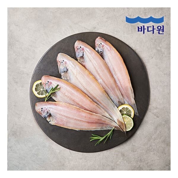 롯데 홈쇼핑 바다원 생선명가 국내산 군산박대 200g x 10팩