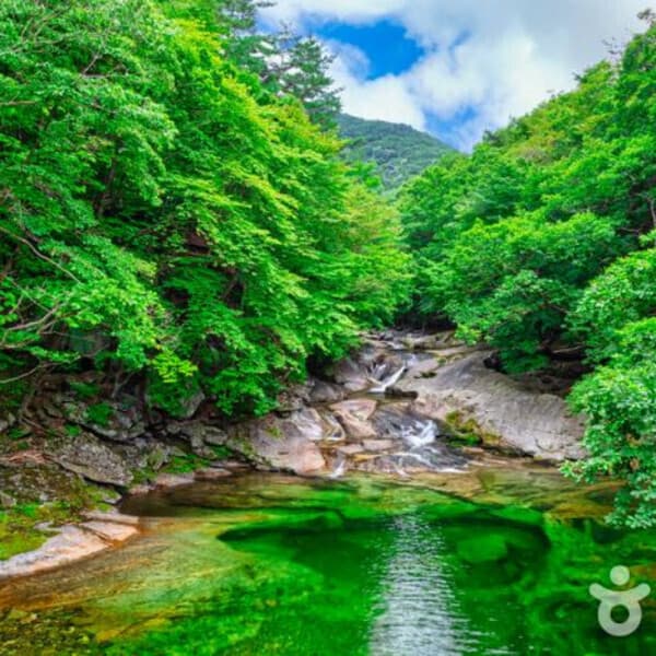 (주)테마캠프 무주 당일여행(무주구천동계곡 어사길 머루와인동굴 금산 월영산출렁다리)