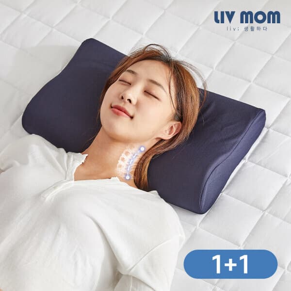 리브맘 고밀도 데일리 메모리폼 베개 2개세트 매쉬커버