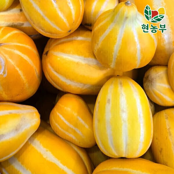 현농부 꿀벌 성주참외 가정용 못난이 9kg 혼합