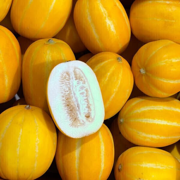 용서리 떨이농산 꿀맛 경북 참외 가정용 10kg 크기랜덤 혼합