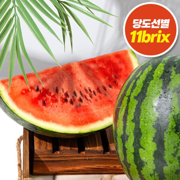 현대Hmall 국내산 당도선별 수박 7kg-10kg