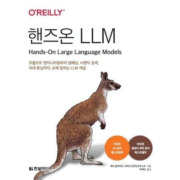 예스24도서 핸즈온 LLM: 프롬프트 엔지니어링부터 임베딩 시맨틱 검색 미세 튜닝까지 - 최저가 34,200원