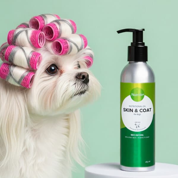 뉴트롤린코리아 강아지 피부 영양제 알러지 오메가3 뉴트롤린 스킨앤코트 260ml 소형견